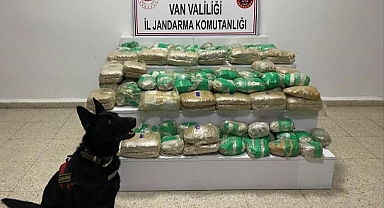 Skunk operasyonunda büyük darbe!