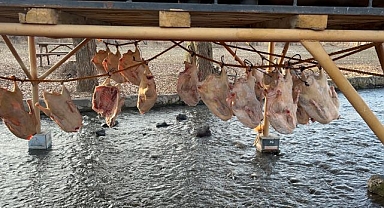 Sofraların vazgeçilmezi kışa hazırlanıyor