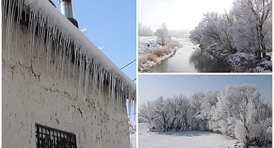 Soğuk havanın etkisiyle ağaçlar kırağı tuttu