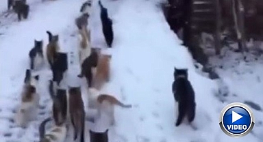 Soğukta yürek ısıtan davranış