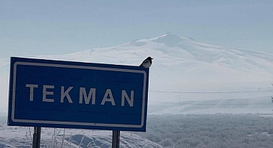 Tekman buz kesti! Türkiye'nin en soğuk noktası oldu