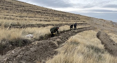 Türkiye'nin en kirli havasına sahip! Oksijen için harekete geçtiler