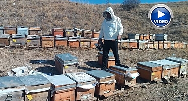 Üreticiden sahte bal uyarısı