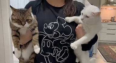 Uzmandan evcil hayvanlarda aşı uyarısı