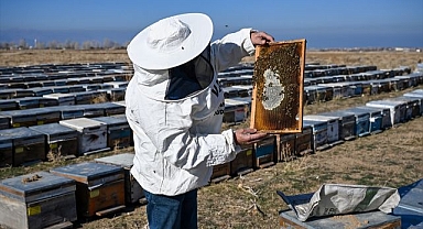 Verimli yaylalarda üretilen bala ödül