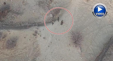 Yasa dışı ava milyonluk ceza