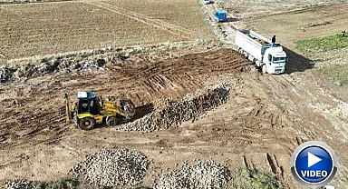 Yüksek verim çiftçinin yüzünü güldürdü