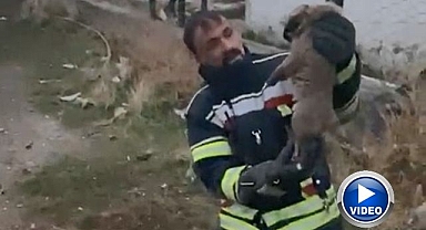 Yürek ısıtan kurtarma operasyonu