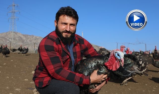 Yurtdışından dönüp memleketine çiftlik kurdu