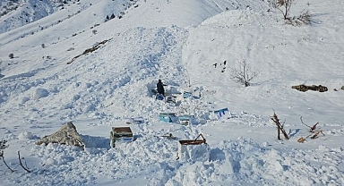 32 arı kovanı çığ altında kaldı   