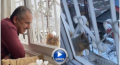 Aç kalınca pencerelere misafir oldular