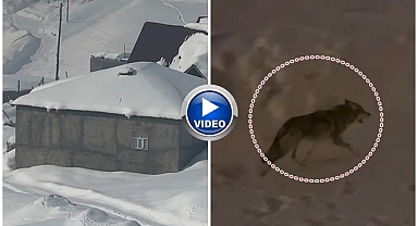 Aman dikkat! Çiftçilere 