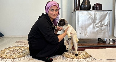 Annesiz kalan kuzu ailenin ‘Umut'u oldu 