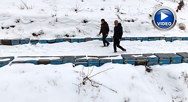 Arıcılar yeni sezondan ümitli