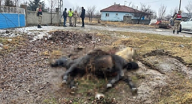 At ve eşek silahla katledildi