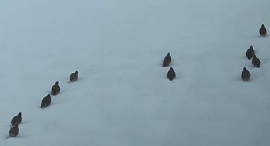 Av sezonu sona erdi! Yasaklar başladı