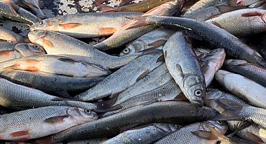 Balıkçılar dondurucu soğukta mesaide