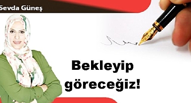 Bekleyip göreceğiz!