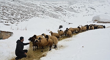 Besicilerin zorlu mesaisi sürüyor