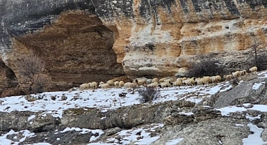 Bin 600 rakımda zorlu yolculuk 