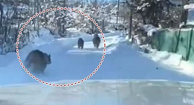 Bir anda yola çıktılar! O anlar kameralara yansıdı