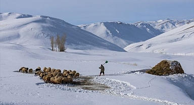 Çetin kış şartlarında besicilerin zor mesaisi