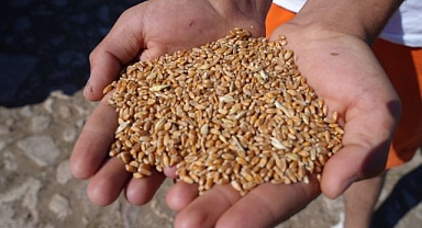 Çiftçilere yüzde 100 hibeli üretim desteği   