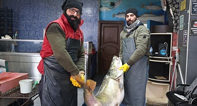 Dev balık görenleri şaşkına çevirdi!