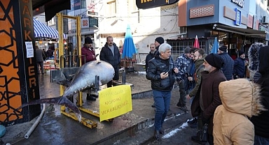 Dev balıkla fotoğraf çektirmek için yarışa girdiler