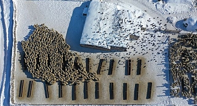 Devlet desteği aldı koyun sürüsünü 6 kat büyüttü