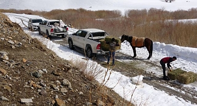 Doğaya  atılan yem ekolojiyi  bozuyor