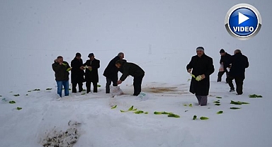 Doğaya yem bıraktılar...