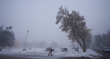 Doğu Anadolu'da soğuk hava ve sis etkili oluyor