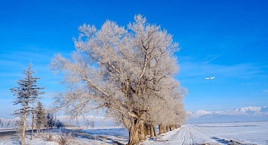 Doğu yine buz kesti