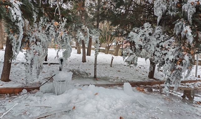 Doğuda hava buz kesti! Bitki ve ağaçlar kırağı kapladı