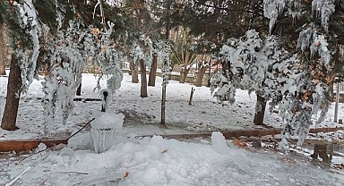 Doğuda hava buz kesti! Bitki ve ağaçlar kırağı kapladı