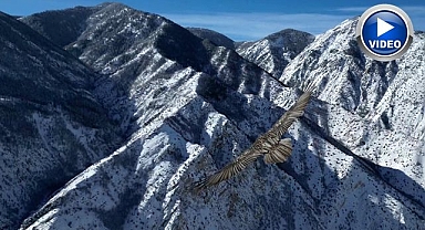 Erzurum’da akbaba dron ile görüntülendi 