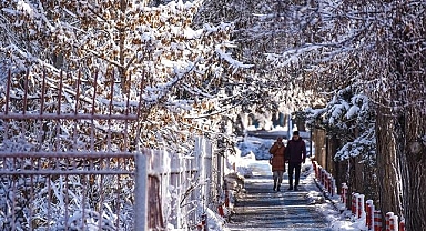 Erzurum'da don ve sis etkili olacak!