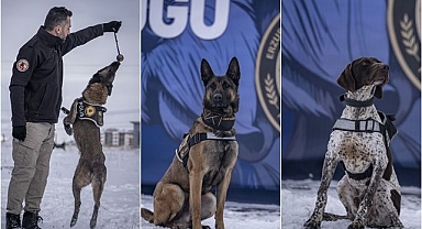 Erzurum'da eğitilen köpekler Doğu'da asayiş ve operasyonel görevlerde kullanılacak