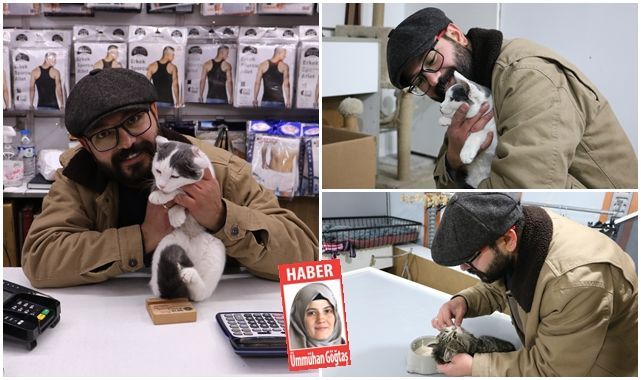 Erzurum'da hayvan sevgisi yürek ısıttı: İşyerini kedilere tahsis etti