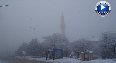 Erzurum'da sis ulaşımı aksattı