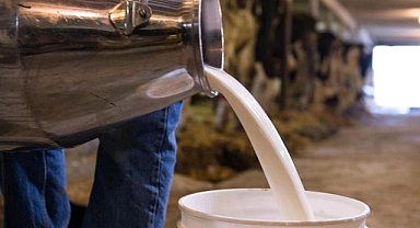 ETB'den süt üreticilerine çağrı: İhale 19 Ocak'ta...