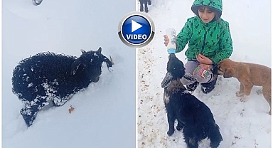 Fırtınada kaybolmuştu! 3 gün sonra...