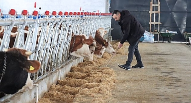 Geleneksel hayvancılıktan modern üretime