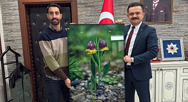 Geleneksel Ters Lale Festivali