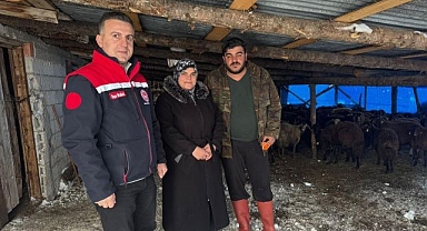 Hayvancılığa yeni başlayan üreticilere destek