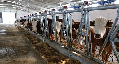 Hibe desteğiyle kuruldu üretime başladı