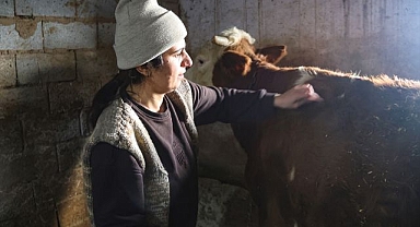 Kadın girişimci hayvancılıkta örnek oluyor