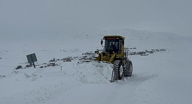 Kar kaplanlarının 2 bin 100 rakımda zorlu mesaisi