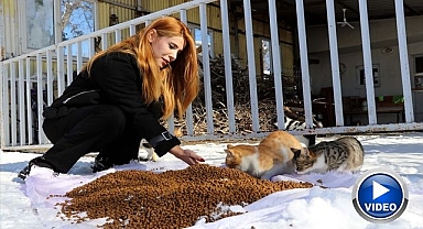 Karla kaplı kentte can dostlara şefkat eli